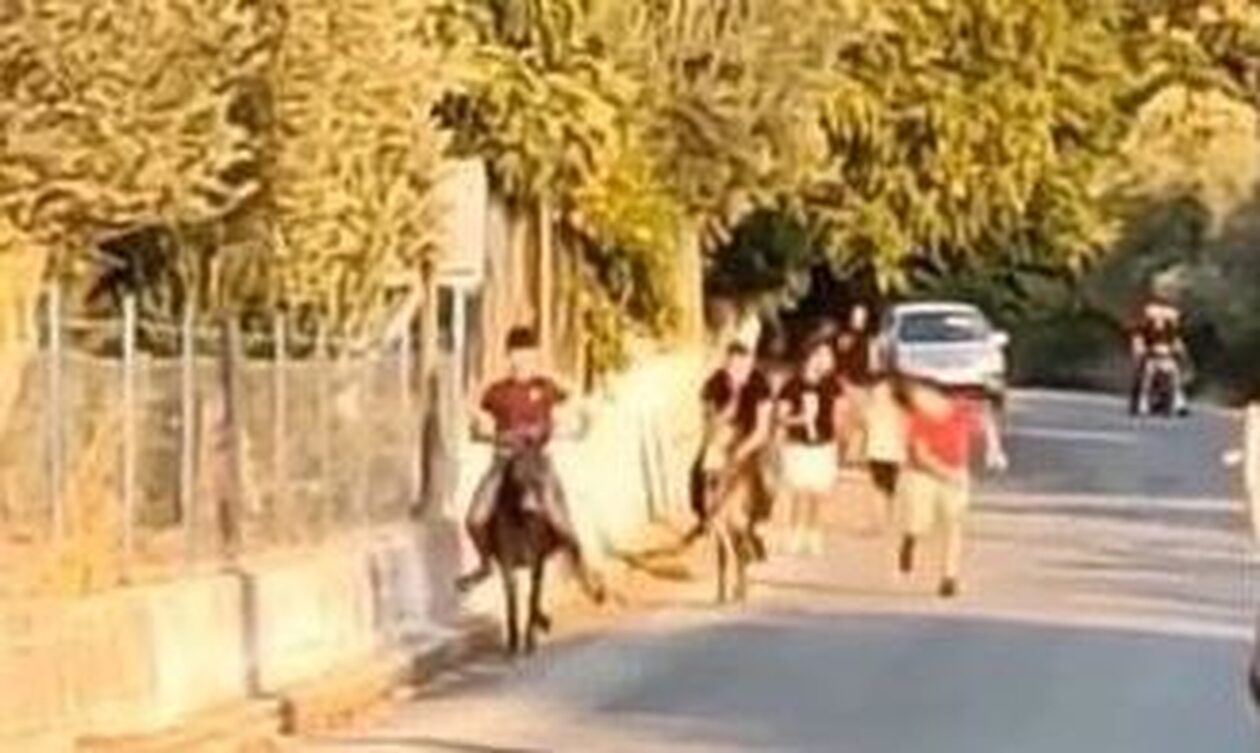 Μυτιλήνη: Καταγγελία για αγώνες δρόμου γαϊδουριών με ανήλικους αναβάτες στην Κώμη