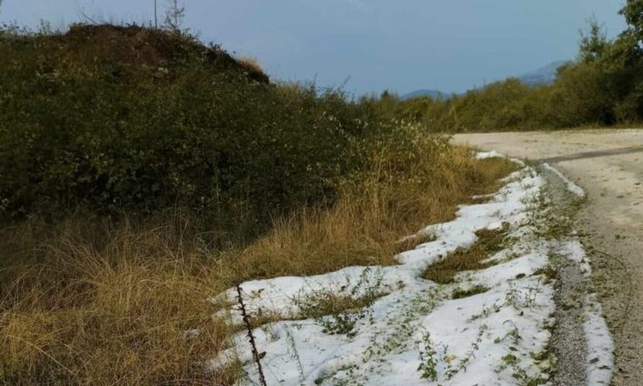 Καστοριά: Ολική καταστροφή στις καλλιέργειες φασολιών προκάλεσε έντονη χαλαζόπτωση