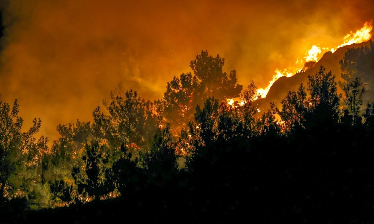Φωτιά σε Έβρο και Ροδόπη: Ολονύχτια μάχη με τις φλόγες στα πύρινα μέτωπα