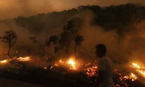 Φωτιά σε Έβρο και Ροδόπη: Ολονύχτια μάχη για να μην περάσουν οι φλόγες στο μικρό πυρήνα της Δαδιάς