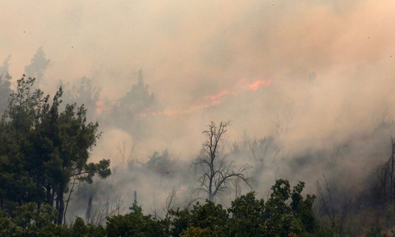 Φωτιά στον Έβρο: Μαίνεται η μάχη με τις αναζωπυρώσεις - Στην περιοχή κυβερνητικό κλιμάκιο