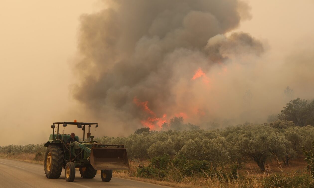 Έβρος: Συναντήσεις του κυβερνητικού κλιμακίου – Συνεχίζονται οι φωτιές στη Δαδιά