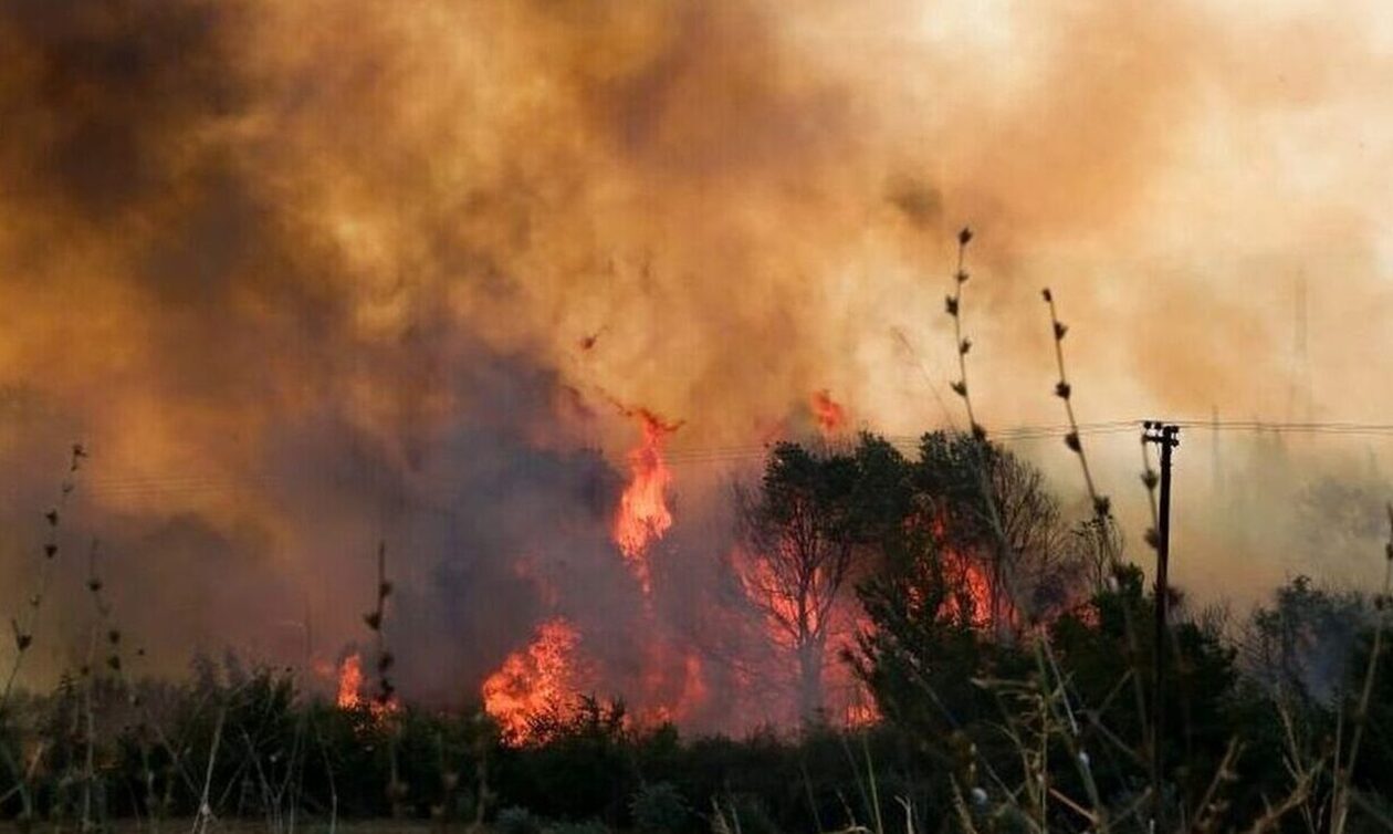 Φωτιές: Μάχη με τις αναζωπυρώσεις σε Έβρο και Ροδόπη, διάσπαρτες εστίες στην Πάρνηθα
