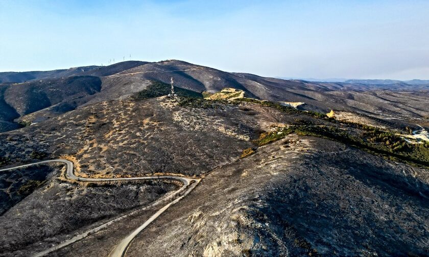 Φωτιά στον Έβρο: Το «πριν» και «μετά» της καταστροφικής πυρκαγιάς στη Δαδιά