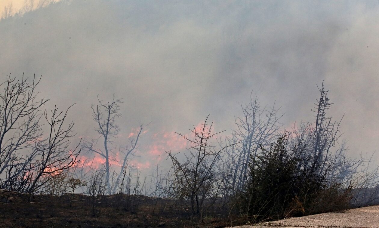 Φωτιά στον Έβρο: Μήνυμα του «112» για εκκένωση της περιοχής Γιαννούλη