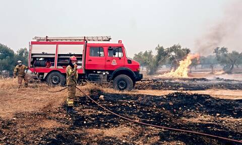 Φωτιά στην Εύβοια: Καίγεται αγροτοδασική έκταση στον Πισσώνα