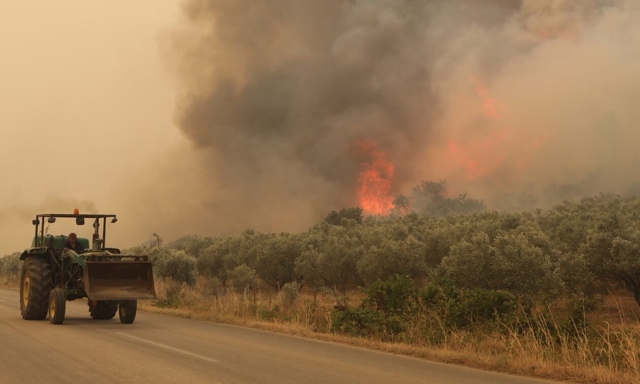 Φωτιά στον Έβρο: 13η μέρα καταστροφής – Γιγαντώνεται το μέτωπο προς Γιαννούλη και Σιδηρώ