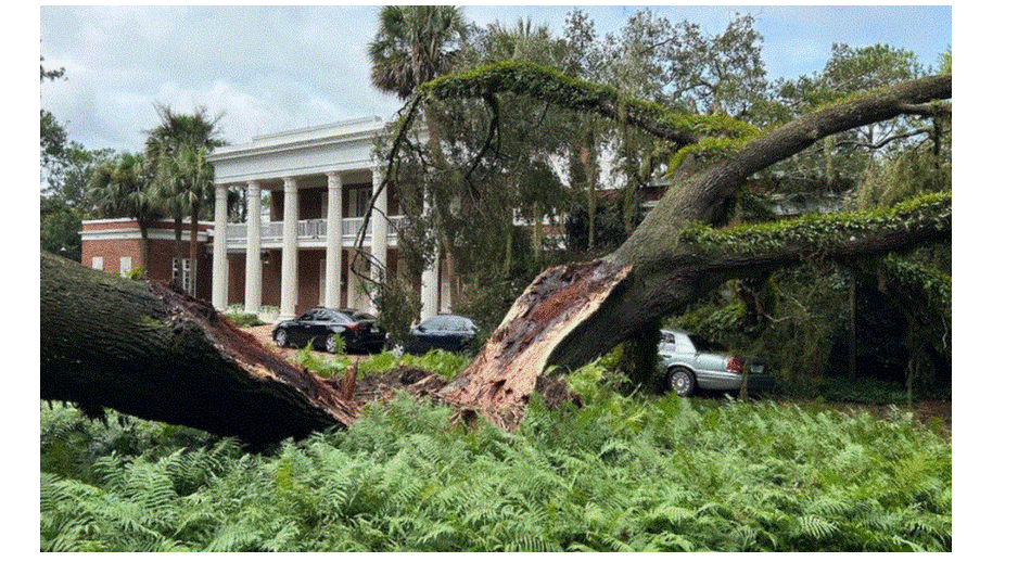 Καταστροφικό το πέρασμα του τυφώνα «Ιδαλία»