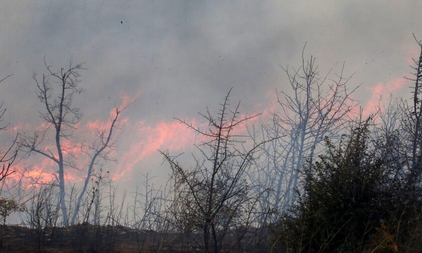Φωτιά στον Έβρο: Ενισχύεται η ένταση και η έκταση του πύρινου μετώπου