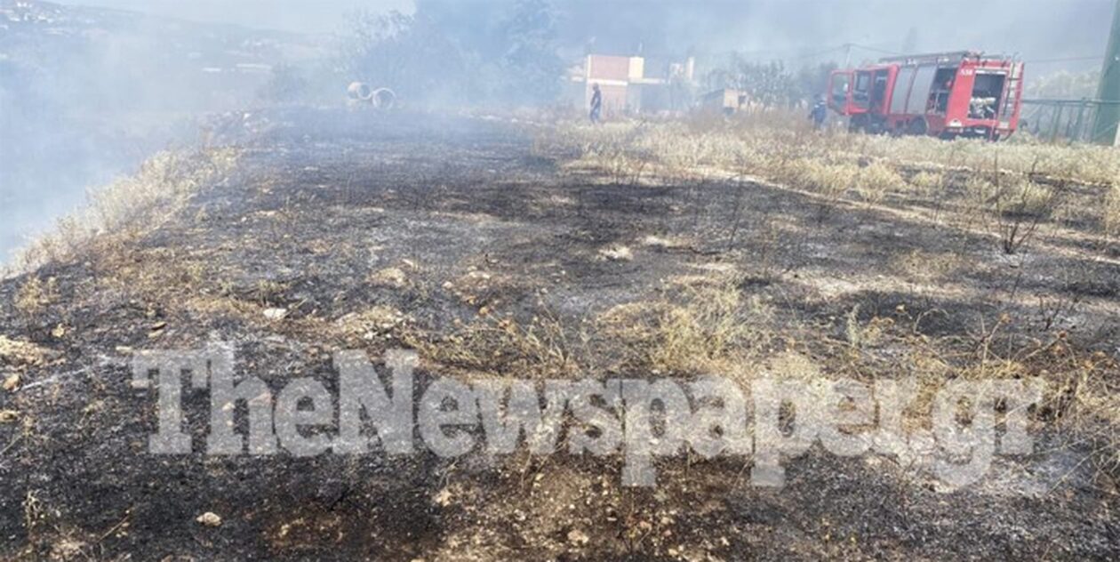 Βόλος: Κατασβέστηκε η φωτιά στις «Άσπρες Πεταλούδες» – Παραμένουν στο σημείο πυροσβεστικές δυνάμεις
