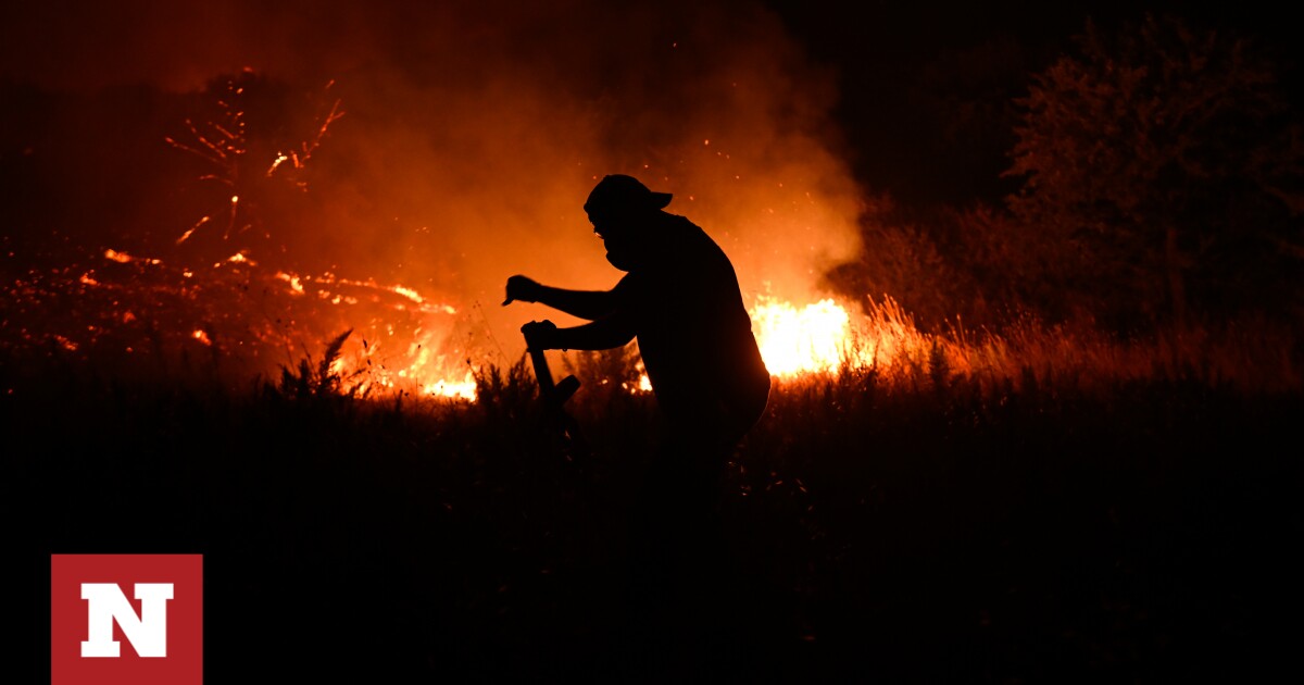 Fire at Evros: Tough new night for Soubli, Thadia and Cornofolia – Newsbomb – News
