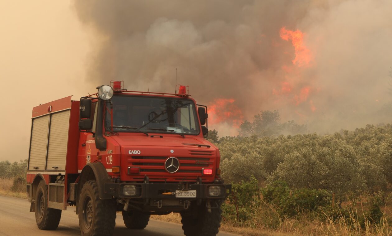 Φωτιά στον Έβρο: Μάχη με τις φλόγες για 14η ημέρα - Σε πύρινο κλοιό το Σουφλί