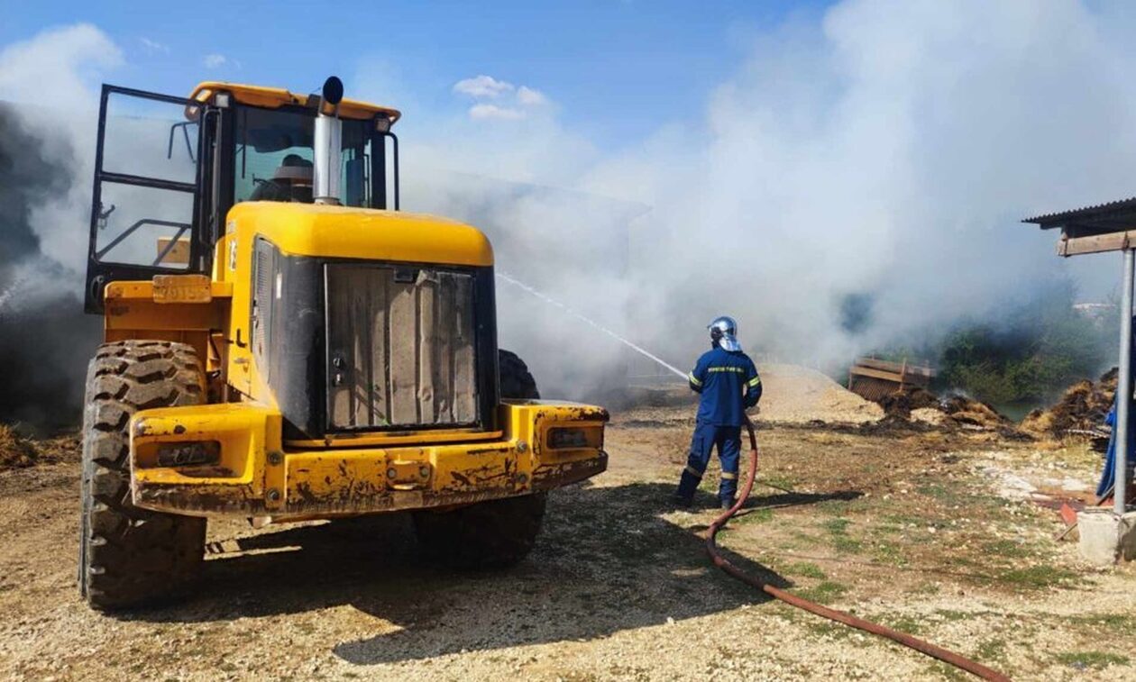 Ιωάννινα: Φωτιά σε κτηνοτροφική μονάδα στο Ροδοτόπι