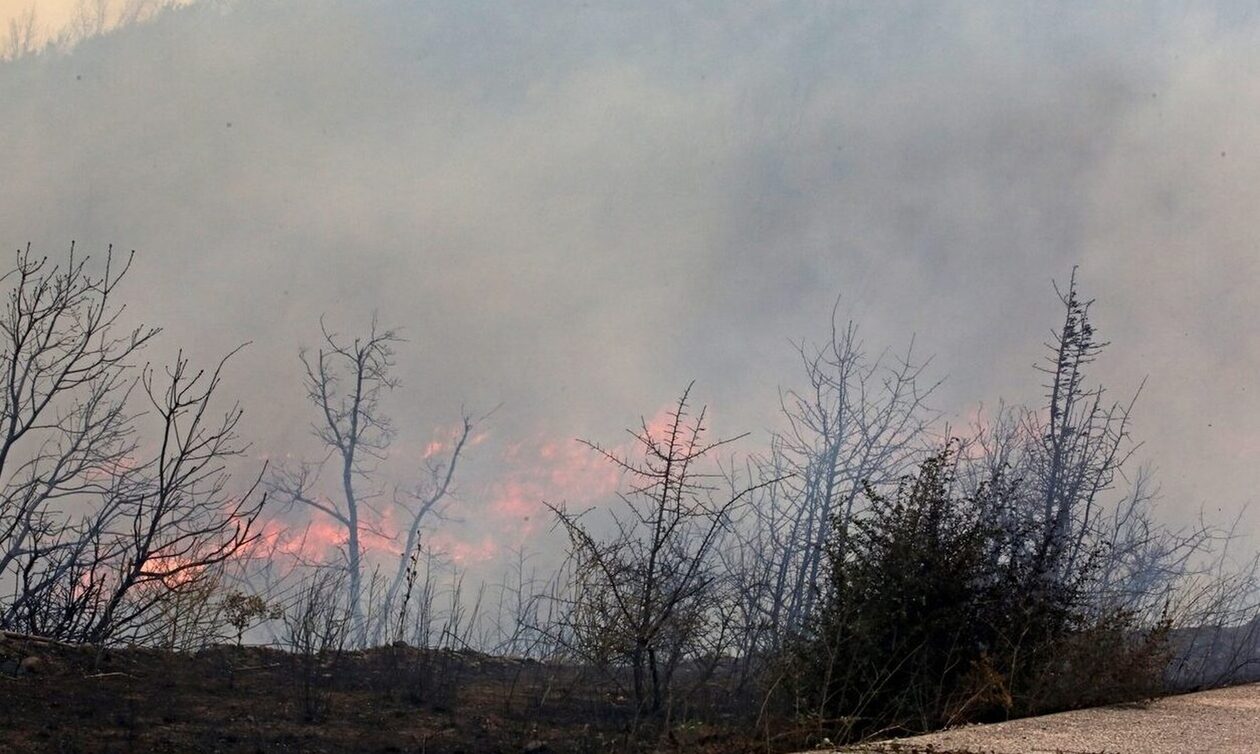 Υπό έλεγχο η φωτιά στην Αντίπαρο - Ξεκίνησε από όχημα και επεκτάθηκε σε έκταση με χαμηλή βλάστηση