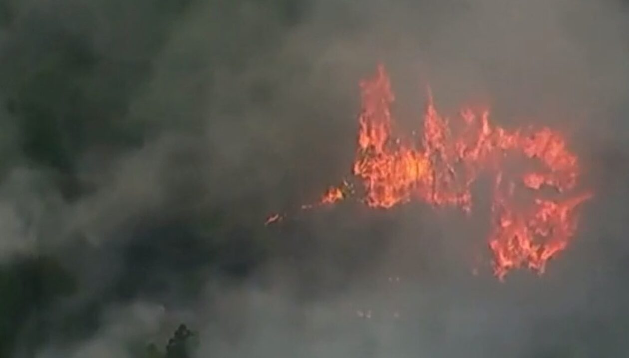 ΗΠΑ: Μεγάλη φωτιά κατακαίει δασική έκταση στο Τέξας