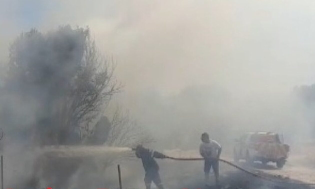 Κερατέα: Ρομά επιτέθηκαν με πέτρες σε πυροσβέστες – Μαρτυρίες για δύο νεαρούς εμπρηστές