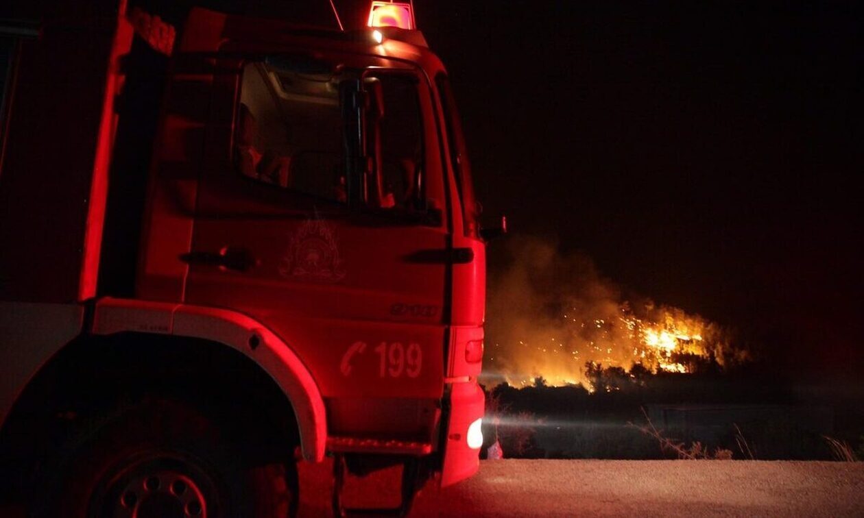 Κοζάνη: Συνελήφθη άνδρας για εμπρησμό από πρόθεση - Έβαλε φωτιά σε δάσος
