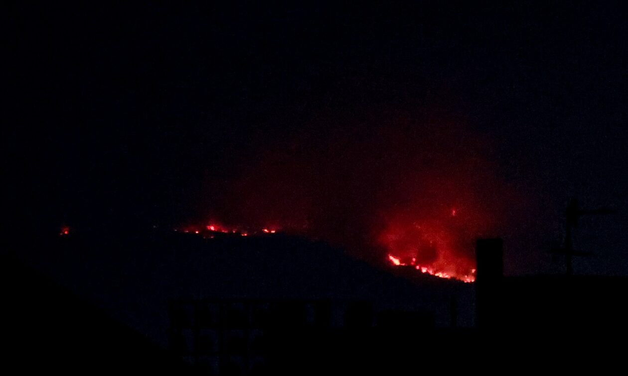 Φωτιά τώρα στον δήμο Λοκρών στη Φθιώτιδα