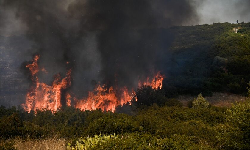 Φωτιά στο Μαρτίνο Φθιώτιδας: Ελικόπτερα και βροχή «σταμάτησαν» την πυρκαγιά