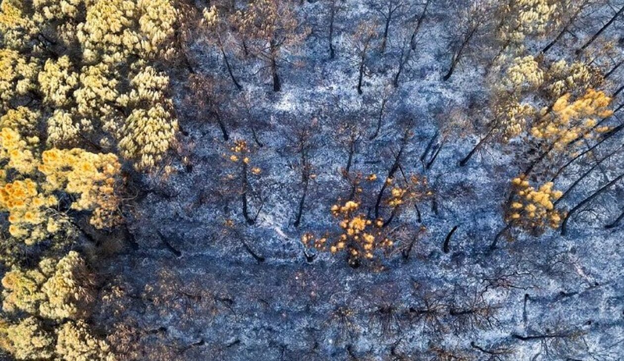 Έβρος: Συγκλονιστικά πλάνα από drone αποκαλύπτουν την ανυπολόγιστη οικολογική καταστροφή