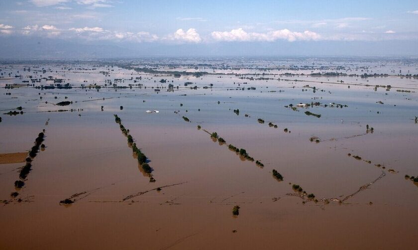 Κακοκαιρία Daniel: Χιλιάδες νεκρά ζώα από τις πλημμύρες - Κραυγή αγωνίας από τους κτηνοτρόφους