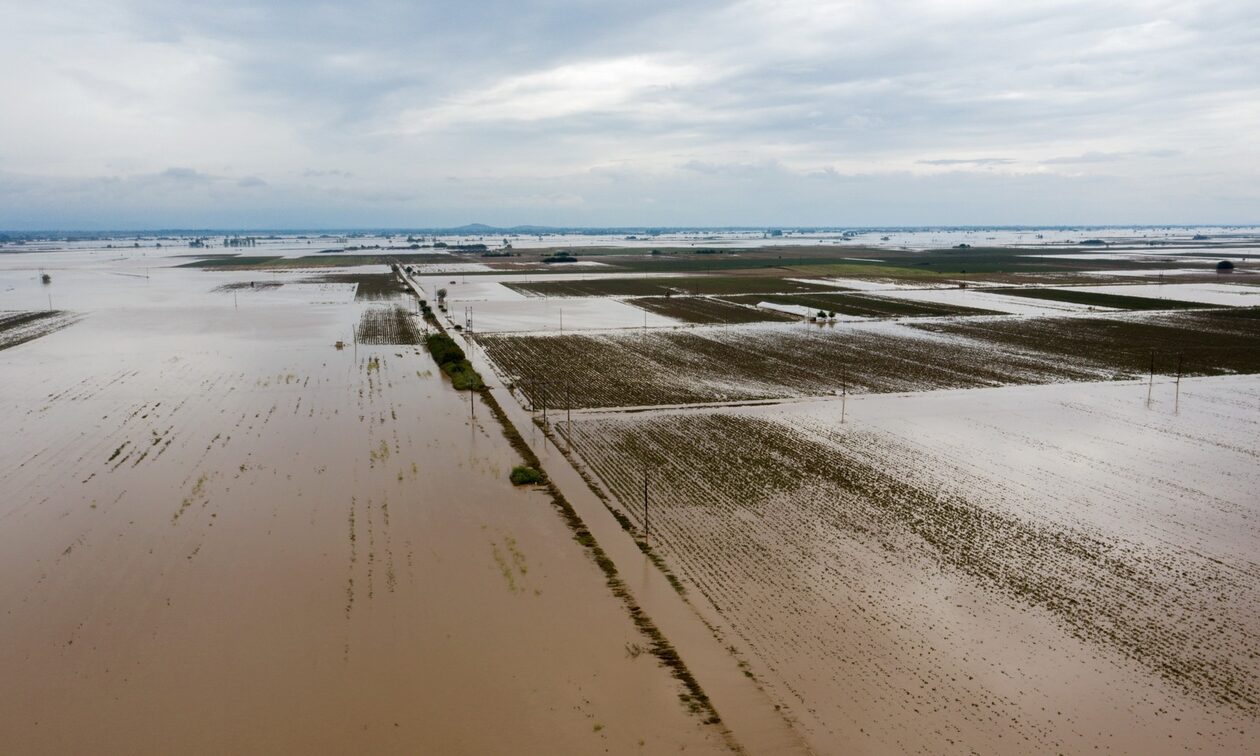 Πλημμύρες: Τεράστια καταστροφή για αγρότες και κτηνοτρόφους – Εκτίναξη τιμών και ελλείψεις προϊόντων