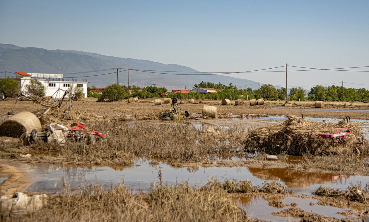 Η Θεσσαλία μετράει πληγές: Κίνδυνος τα νεκρά ζώα και οι λάσπες – Άστεγοι ακόμα οι πλημμυροπαθείς