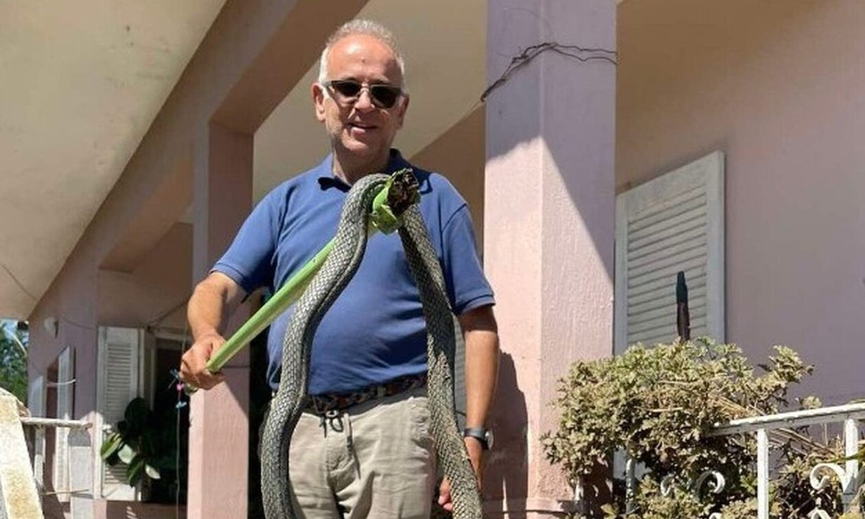 Θεσσαλία: Έβγαλε φίδι 2,5 μέτρων μέσα από τα νερά στον Παλαμά