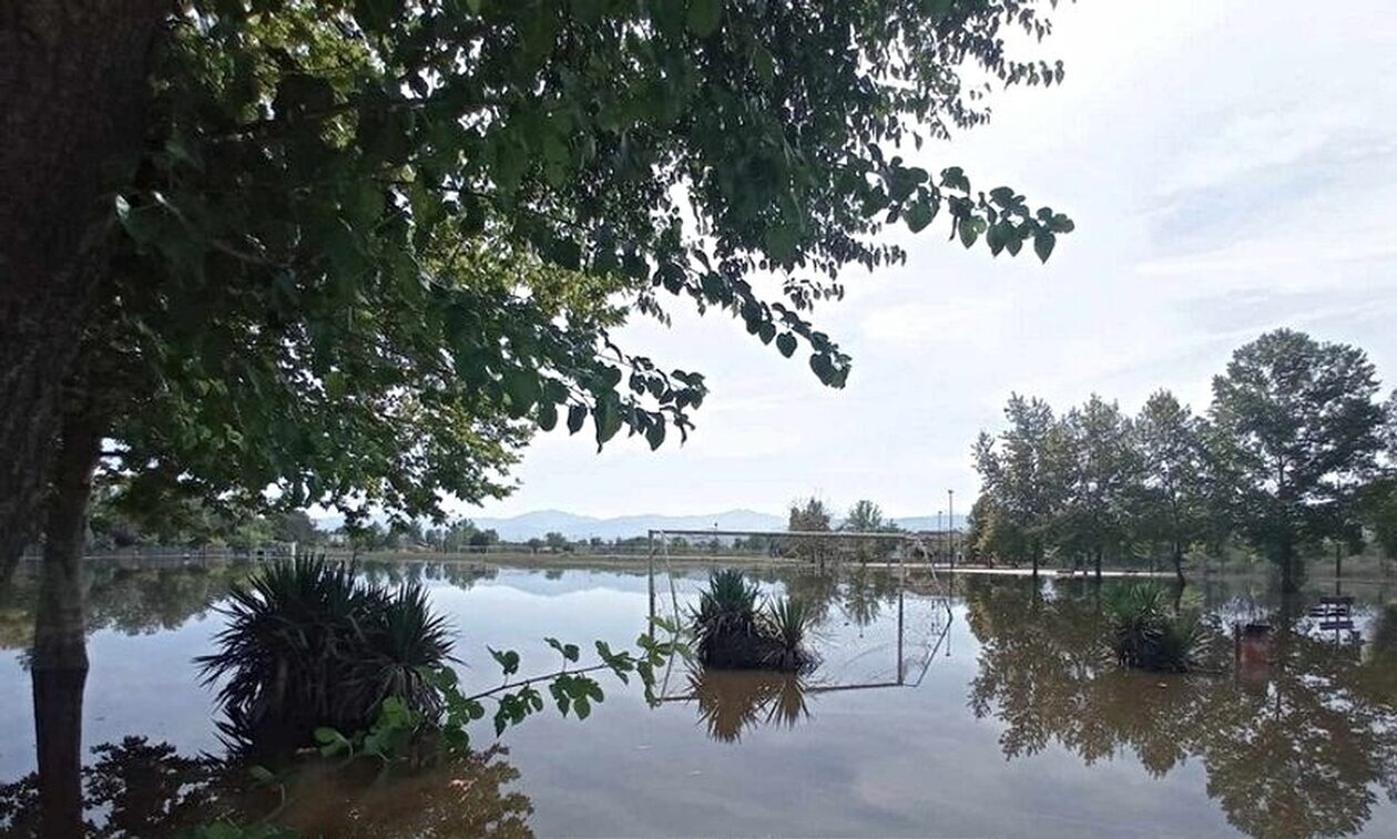 Θεσσαλία: Τα λιμνάζοντα νερά αυξάνουν τα κουνούπια – Κίνδυνος έξαρσης του ιού του Δυτικού Νείλου