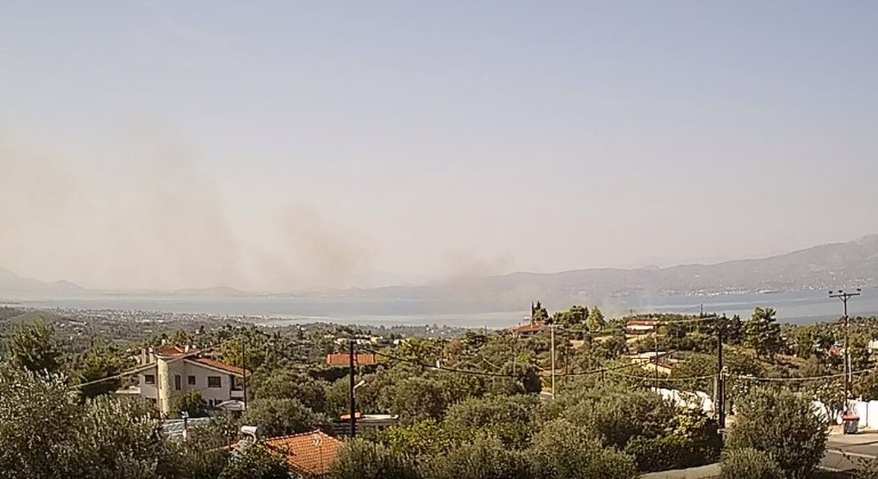 Πυρκαγιά στο Μαρκόπουλο Ωρωπού - Εναέριες δυνάμεις στη μάχη της κατάσβεσης (vid & εικόνες)
