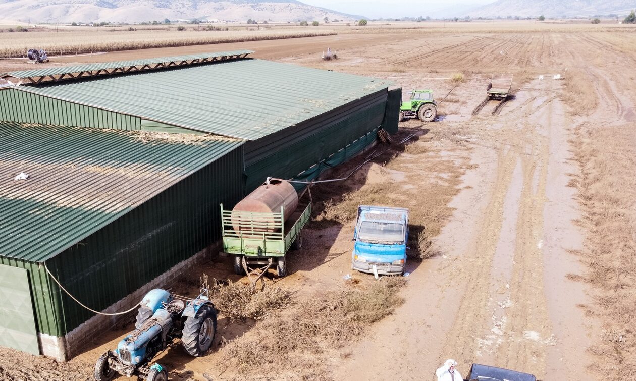 Θεσσαλία: Εφιαλτική η επόμενη μέρα για αγρότες και κτηνοτρόφους - «Σταμάτησε η παραγωγή μας»