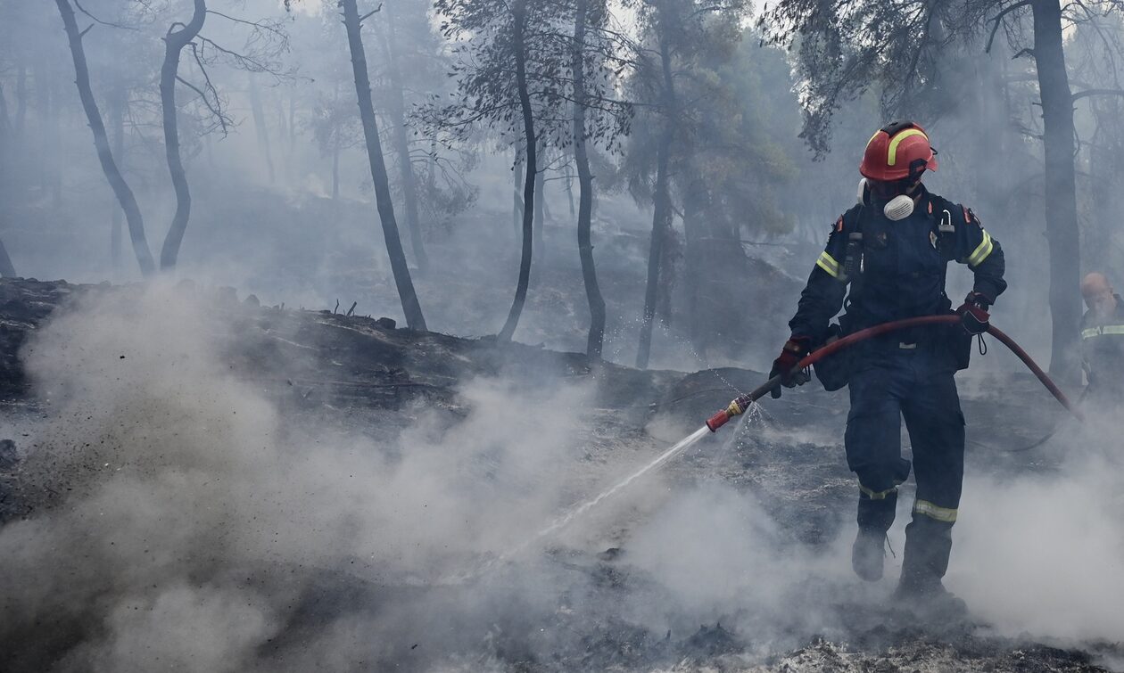 Φωτιά τώρα στη Ροδόπη: Επιχειρούν ισχυρές πυροσβεστικές δυνάμεις