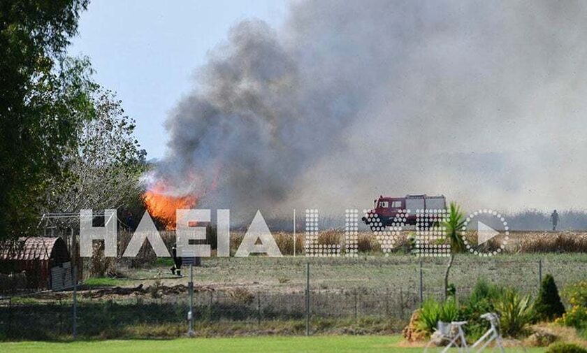 Συναγερμός στην Ηλεία: Φωτιά τώρα στη Σπιάντζα – Καίει κοντά σε σπίτια