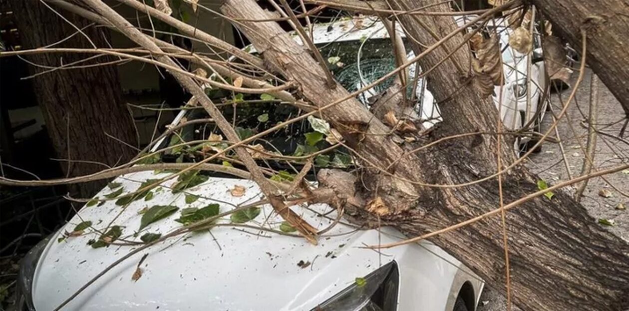Πάτρα: Έπεσε δέντρο πάνω σε αυτοκίνητα – Τραυματίστηκε ένα άτομο