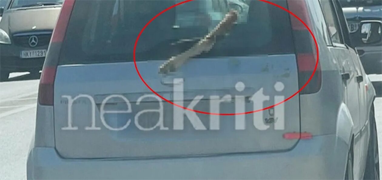 Φρίκη στο Ηράκλειο: Κυκλοφορούσε με ένα πόδι κατσίκας στο παρμπρίζ του αυτοκινήτου του