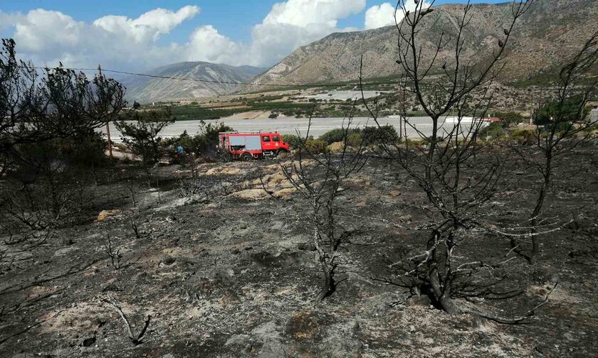 Φωτιά στο Ελαφονήσι: Πρόλαβε τα χειρότερα η Πυροσβεστική
