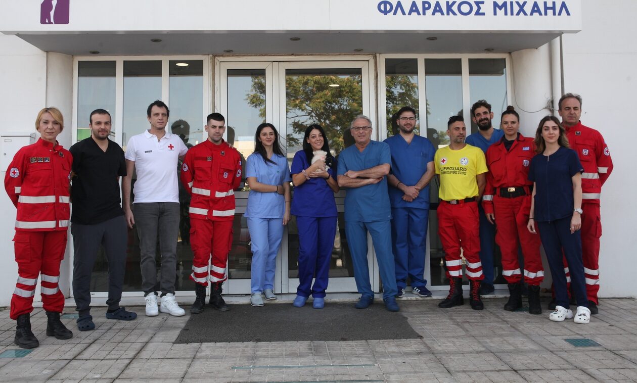 Παγκόσμια Ημέρα Ζώων: Πρώτες βοήθειες στους πιστούς μας φίλους από τον Ελληνικό Ερυθρό Σταυρό