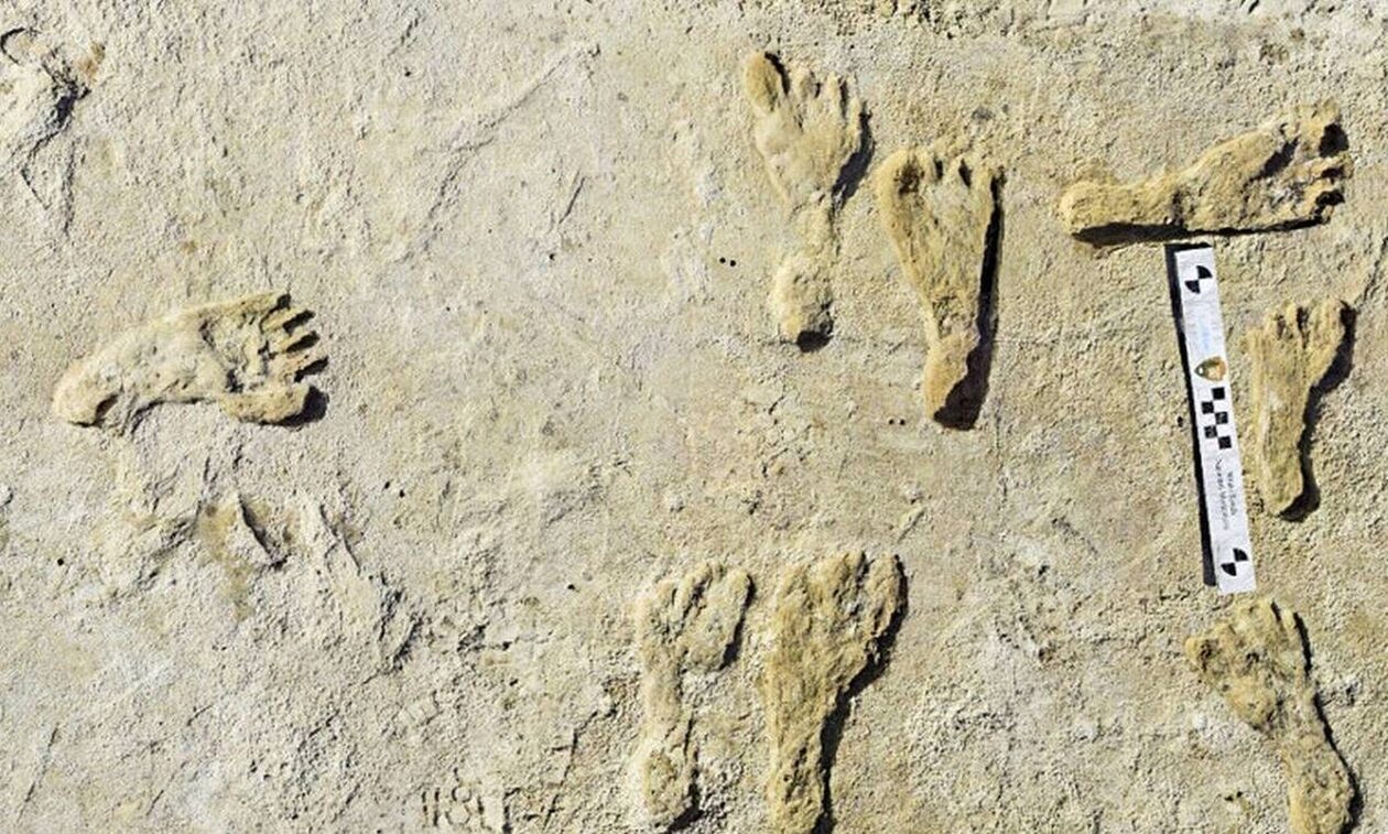 Αρχαίες απολιθωμένες πατημασιές στο Νέο Μεξικό: Τι αποκαλύπτουν στους επιστήμονες