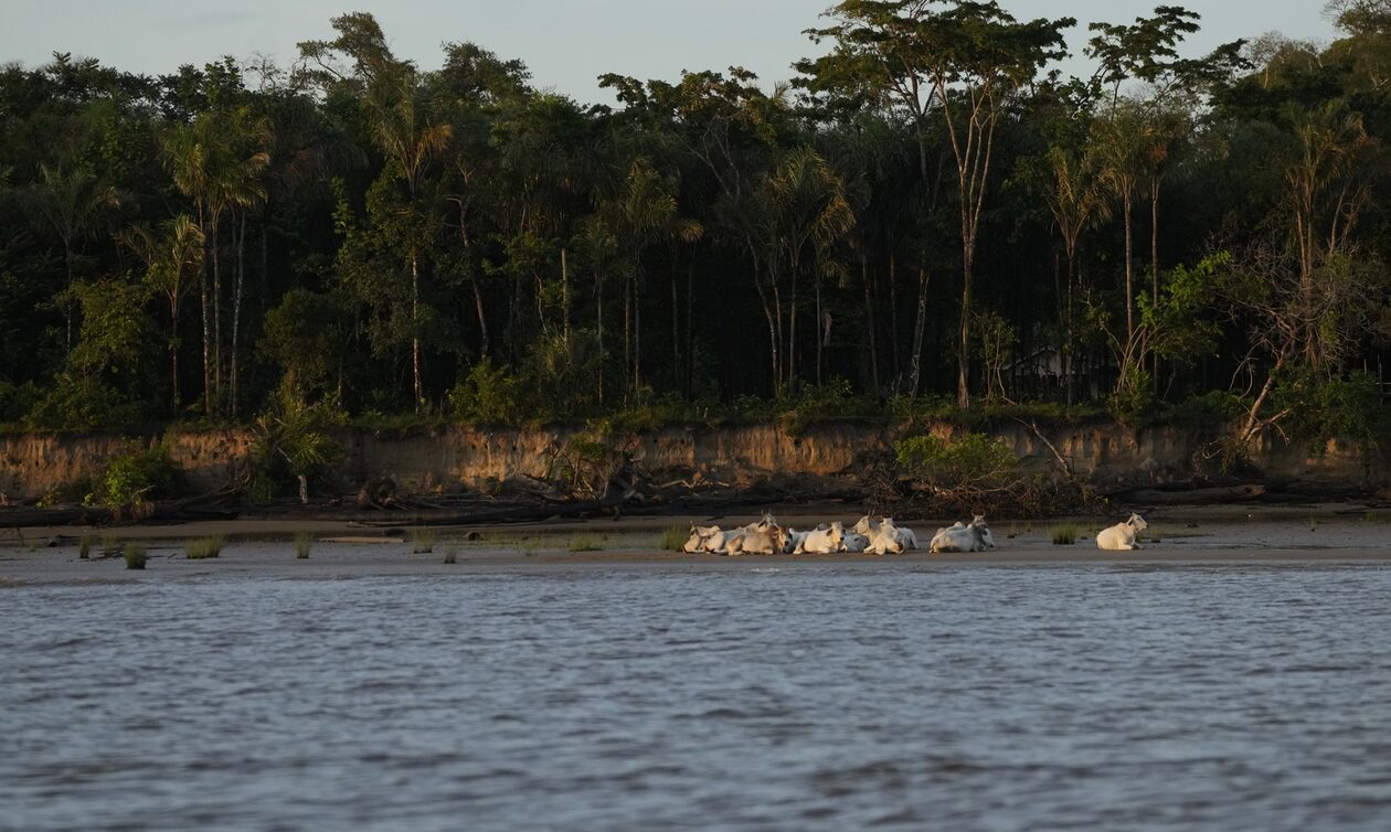 Αμαζόνιος: Στα χαμηλότερα επίπεδα εδώ και 121 χρόνια η στάθμη του νερού σε λιμάνι
