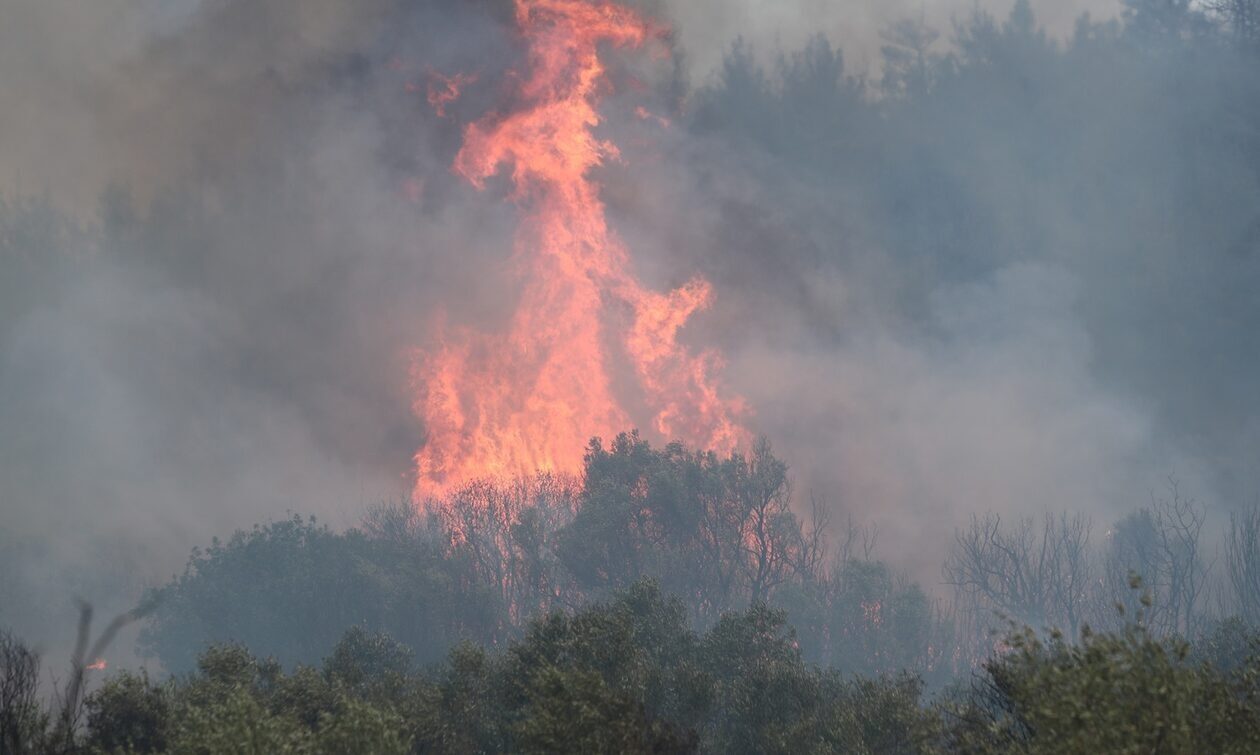Φωτιά τώρα στη Ζάκυνθο – Καίει στην περιοχή Μαριές, συνδράμουν εναέρια μέσα