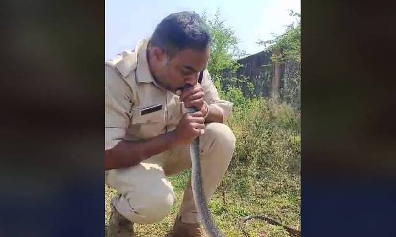 Ινδία: Αστυνομικός έδωσε «το φιλί της ζωής» σε…φίδι - Ήταν αναίσθητο