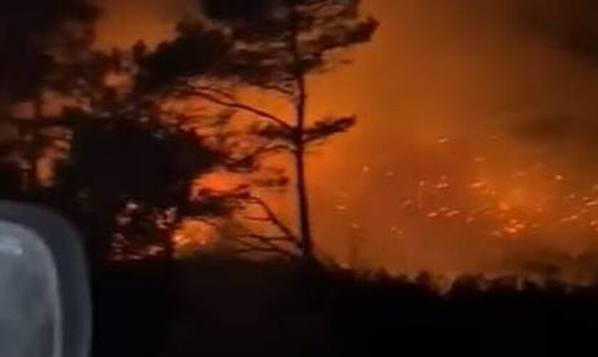 Φωτιά στη Ρόδο: Από χέρι εμπρηστή ξεκίνησε η πυρκαγιά - Κάηκαν περισσότερα απο 100 στρέμματα δάσους