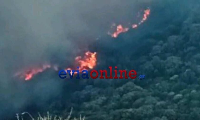 Φωτιά τώρα στην Κάρυστο: Εκκενώνεται οικισμός - Ισχυρές επίγειες και εναέριες δυνάμεις στο σημείο