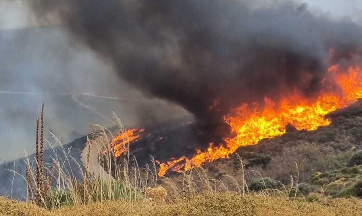 Φωτιά στην Κάρυστο: Ανεξέλεγκτο το πύρινο μέτωπο - Έχουν εκκενωθεί δύο χωριά