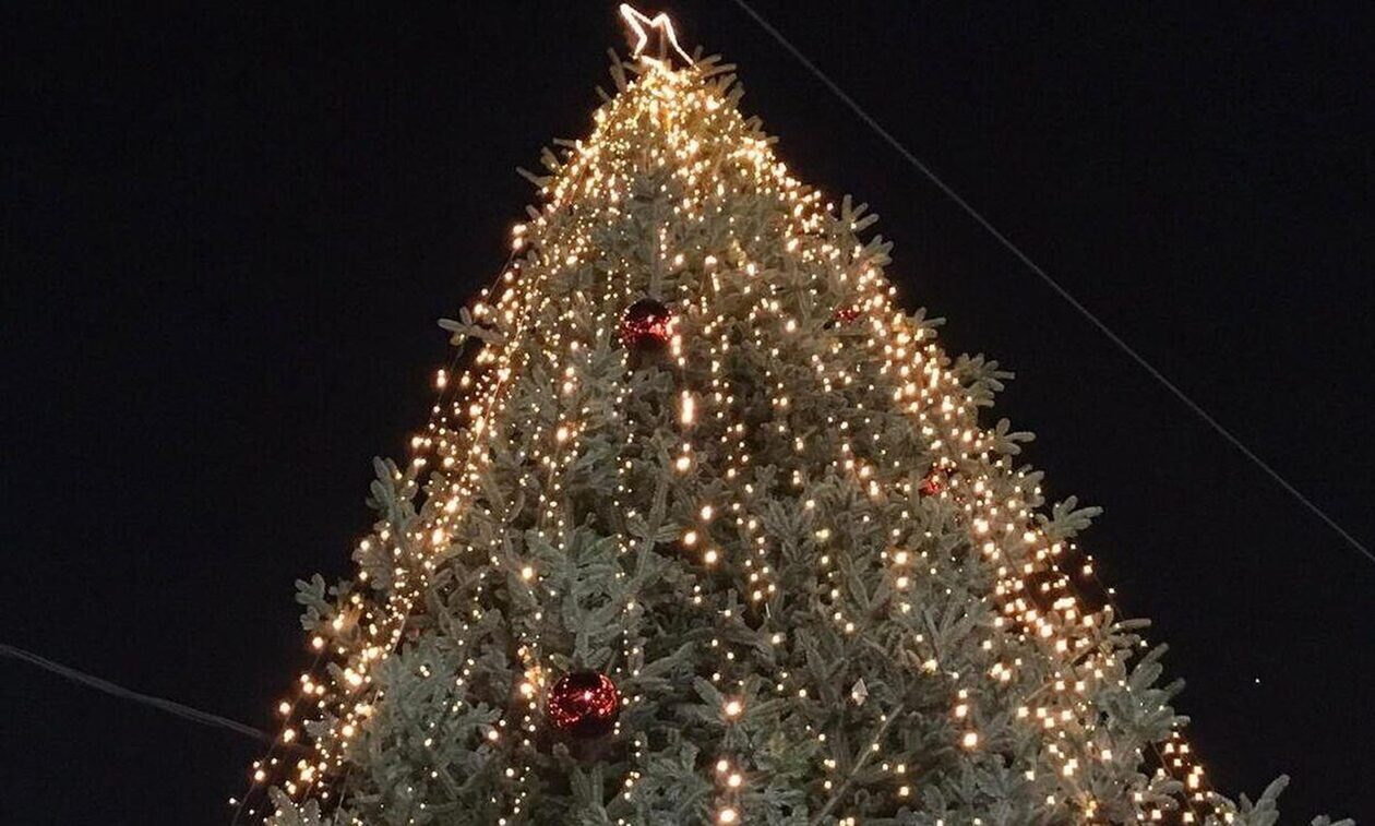 Χαλκιδική: Ξεκινά η εορταστική περίοδος των Χριστουγέννων - Φωταγωγείται το έλατο ύψους 13 μέτρων