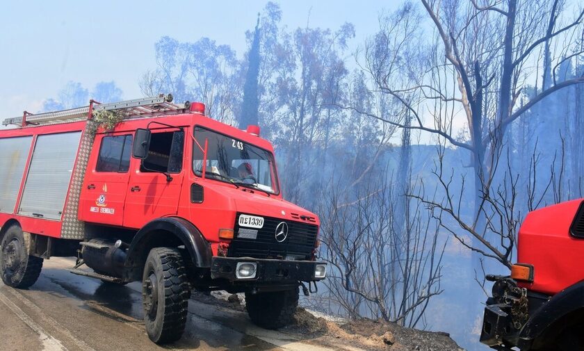 Συναγερμός στην Πυροσβεστική: Φωτιά σε δασική έκταση στην Αρσινόη Μεσσηνίας