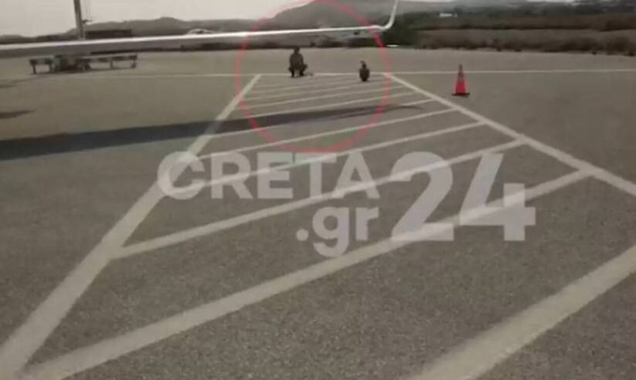Κρήτη: Εξαντλημένος γύπας προσγειώθηκε στο αεροδρόμιο Ηρακλείου για… ανεφοδιασμό (vid)