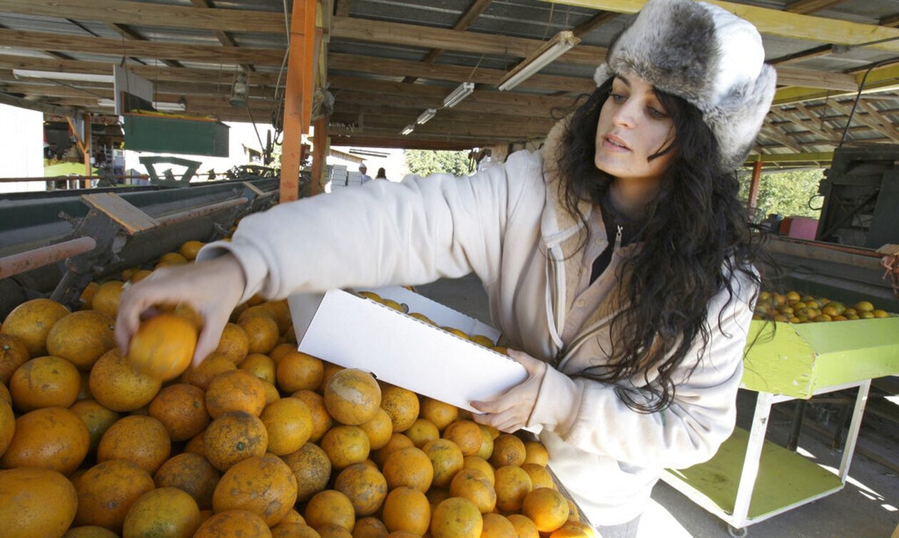 «Πικρά» και τα πορτοκάλια: Κερδοσκόποι, κλιματική αλλαγή και ασθένειες εκτοξεύουν τις τιμές
