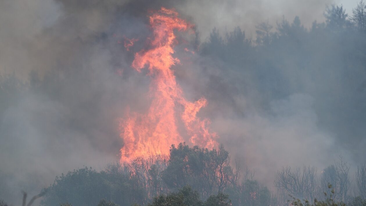 Πήλιο: Ζευγάρι Αλβανών έβαλε τη φωτιά – Ταυτοποιήθηκαν οι δράστες