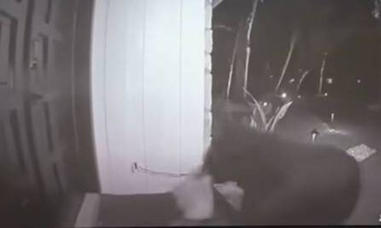 Φλόριντα: Αρκούδα… έκλεψε παραγγελία φαγητού από τη βεράντα σπιτιού – Βίντεο